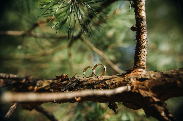 Close-up van twee gouden trouwringen voor een bruiloft