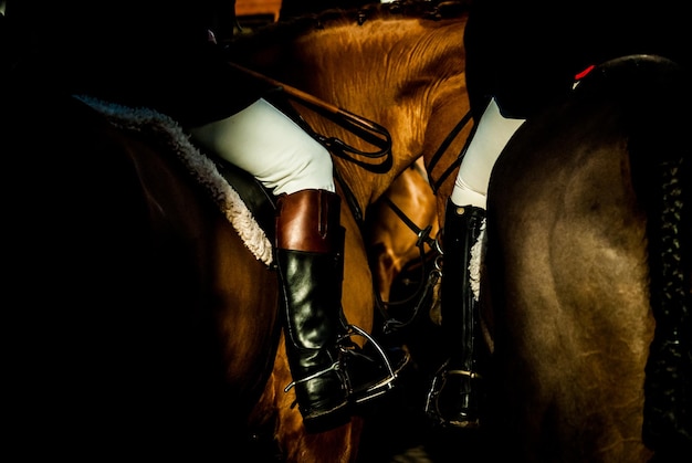 Close-up van twee mensen die op paarden rijden