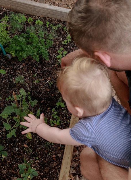 close-up van vader die kruiden plant in de tuin met een baby, bovenaanzicht