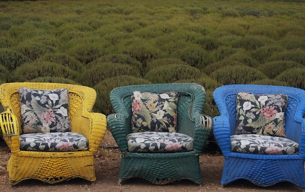 Foto close-up van veelkleurig veld en stoelen