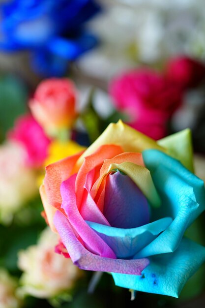 Foto close-up van veelkleurige bloemen