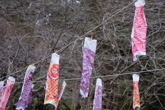 Foto close-up van veelkleurige hanging op boom