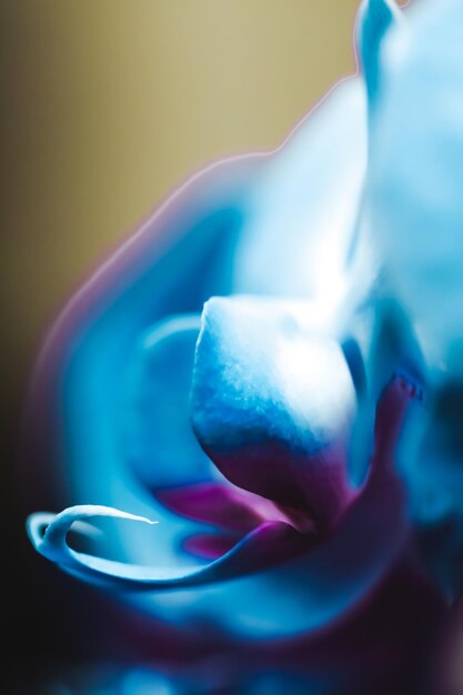 Foto close-up van veelkleurige snoepjes op blauwe achtergrond