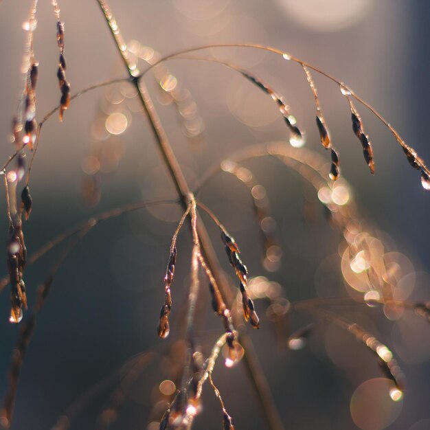 Foto close-up van verlicht water's nachts