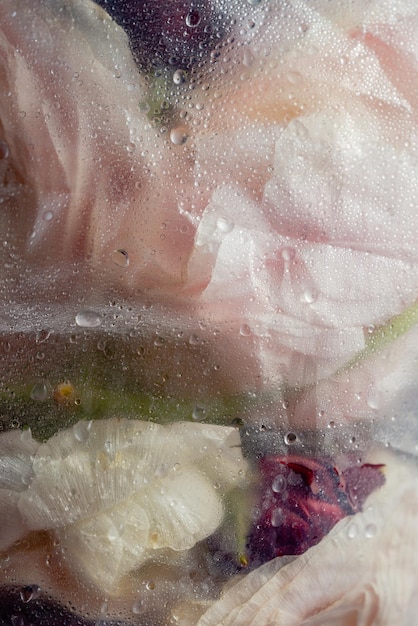 Close-up van verschillende bloemen gewikkeld in plastic met waterdruppels