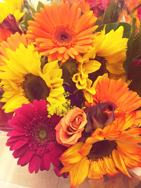 Close-up van verschillende bloemen