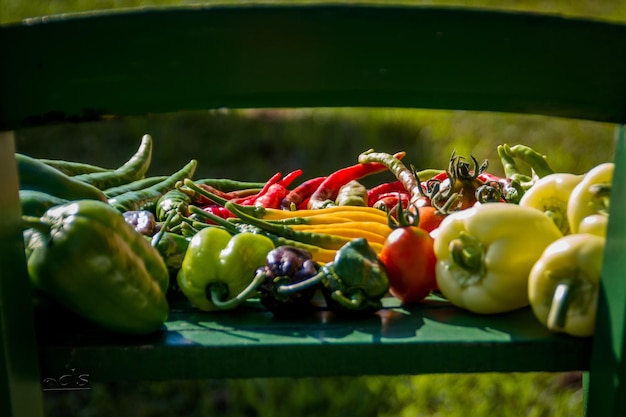Close-up van verse biologische specerijen op tafel