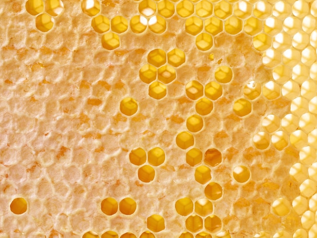 Close up van verse honing kammen achtergrond