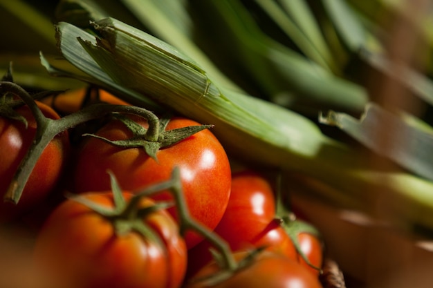 Close-up van verse tomaten en bladgroente