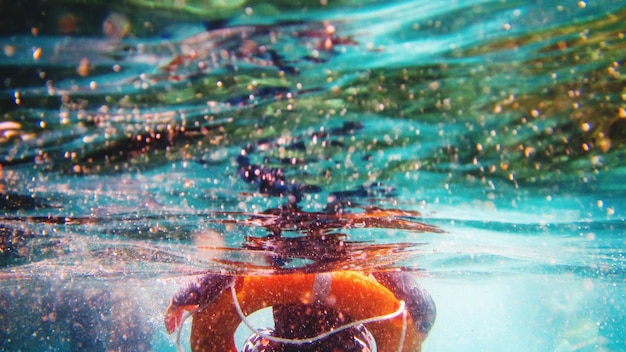 Foto close-up van vissen die in de zee zwemmen