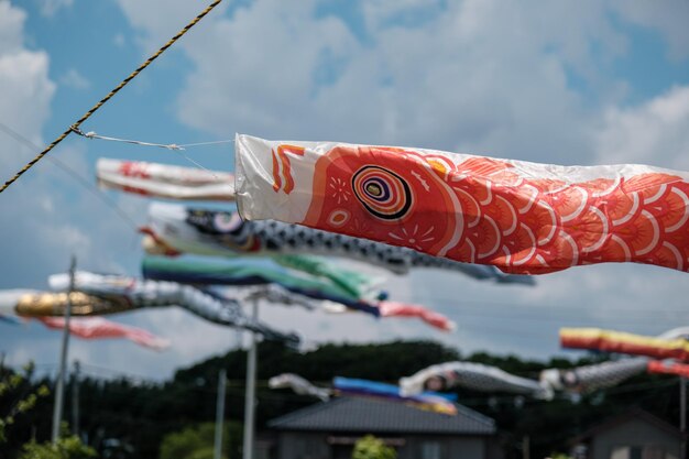 Foto close-up van visstromen die tegen de lucht hangen