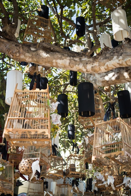 Foto close-up van vogels die aan een boom hangen