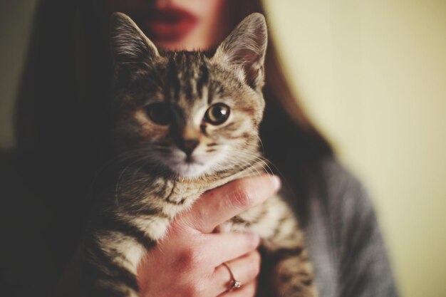 Foto close-up van vrouw met kitten