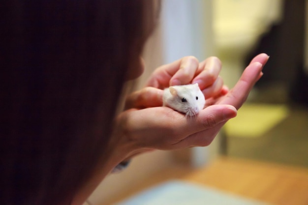 Close-up van vrouw met witte muis thuis