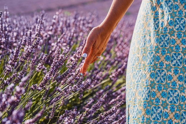 Foto close-up van vrouw toeristische hand zachtjes lavendel bloemen aanraken in een veld wandelen en genieten van contact met de natuur en gevoel zomer reizen vakantiebestemming outdoor vrijetijdsbesteding en toerisme