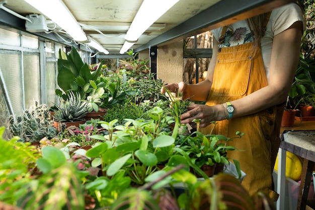 Close-up van vrouwelijke bloemist die zorgt voor plantenkwekerij