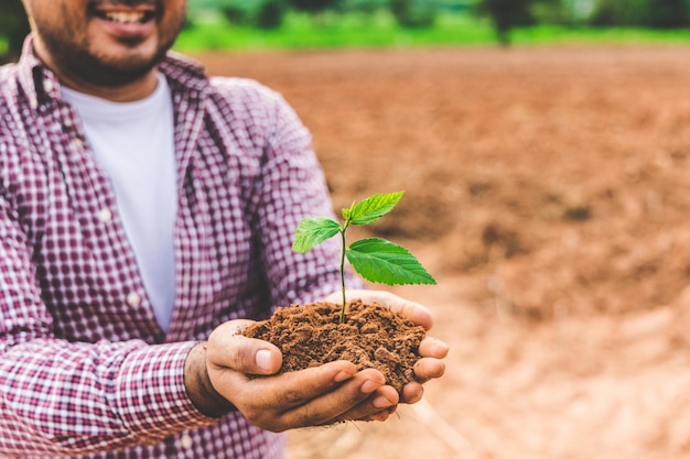 Close-up van vrouwelijke hand met plant groeiende zaailingen op de bodem van de landbouw. Groene wereld aarde dag concept.