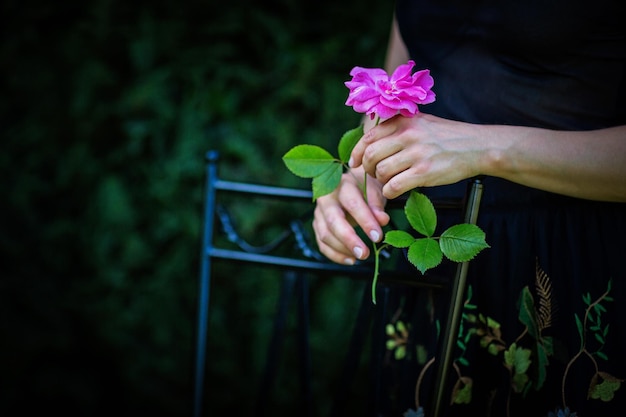 Close up van vrouwelijke handen met een roze bloem tegen de achtergrond van groene struiken in het park