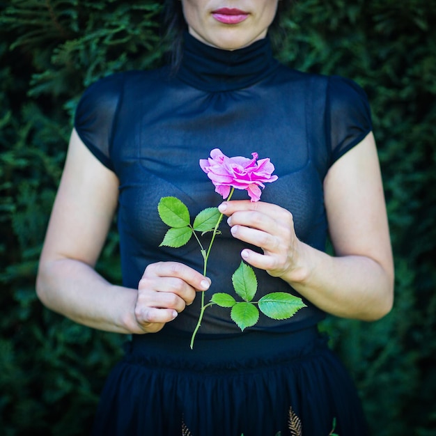 Close up van vrouwelijke handen met een roze bloem