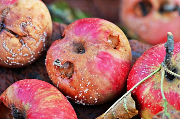 Foto close-up van vruchten voor verkoop op de markt
