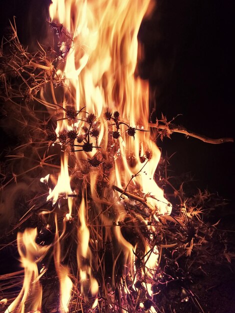 Foto close-up van vuur in het donker