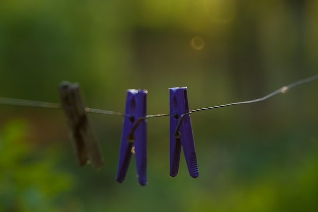 Foto close-up van waspinnen die aan een touw hangen