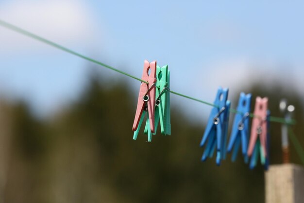 Foto close-up van waspinnen die aan een waslijn hangen