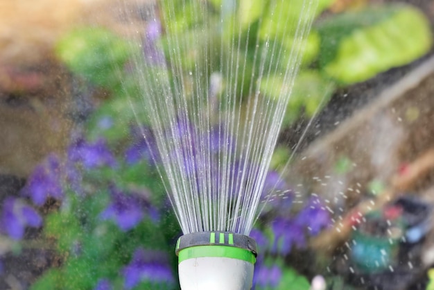 Close-up van water dat uit een tuinslang komt die een tuin water geeft