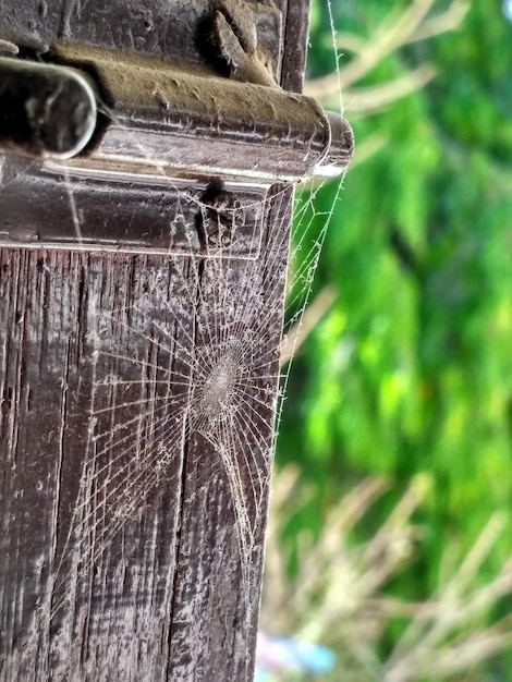 Foto close-up van water op gras