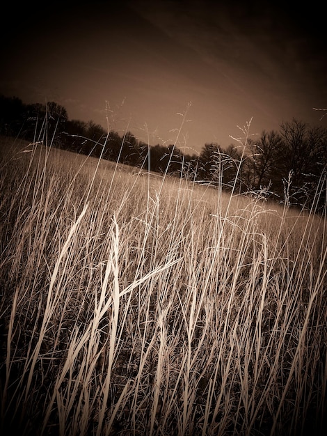 Foto close-up van water tegen de lucht