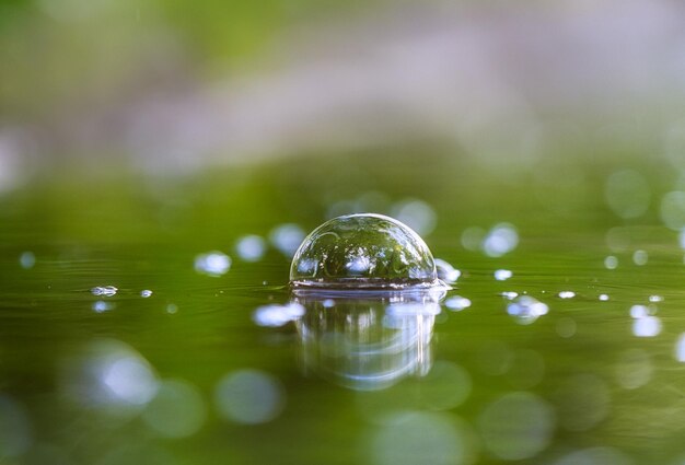 Close-up van waterdruppels op de plant