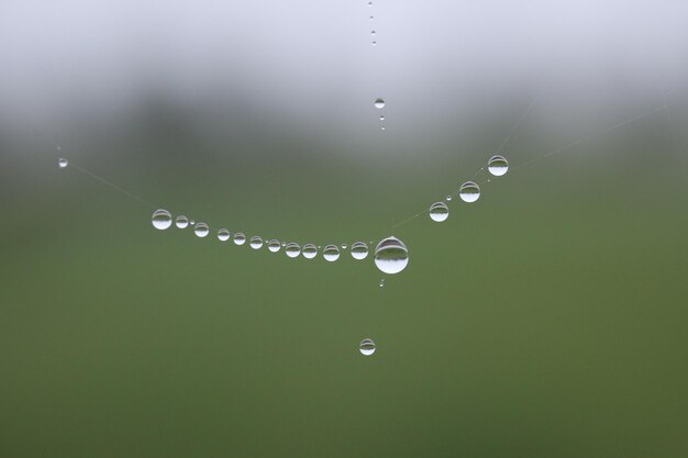 Foto close-up van waterdruppels op een spinnenweb