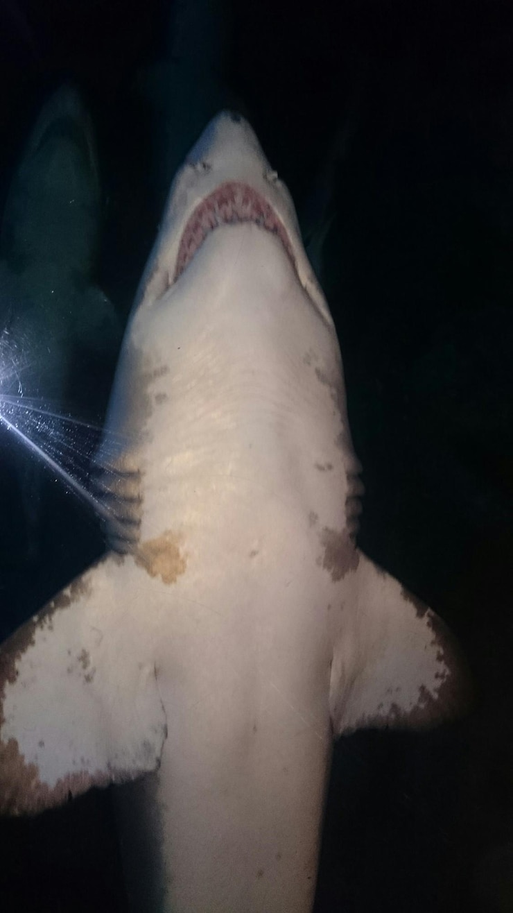Foto close-up van witte achtergrond