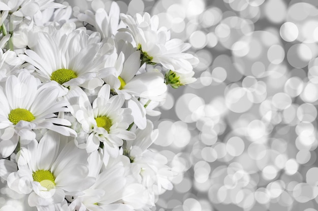 Close up van witte chrysanten op grijze achtergrond