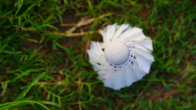 Close-up van witte shuttle in gras