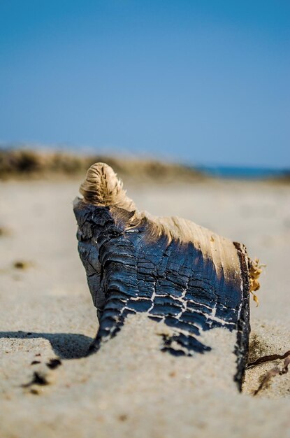 Foto close-up van zand op het strand tegen een heldere lucht