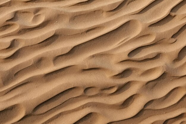 Foto close-up van zandduinen