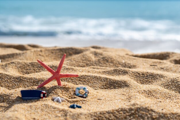 Close-up van zeester op tropisch strand, het concept van de de zomervakantie