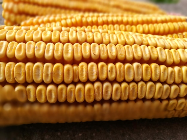 Close-up van zoete maïs