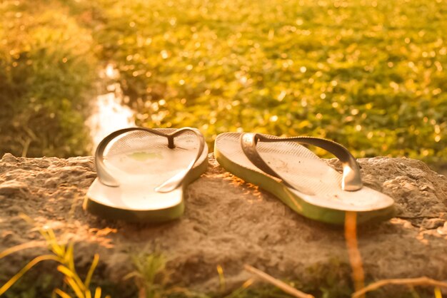 Foto close-up van zonnebril op het veld