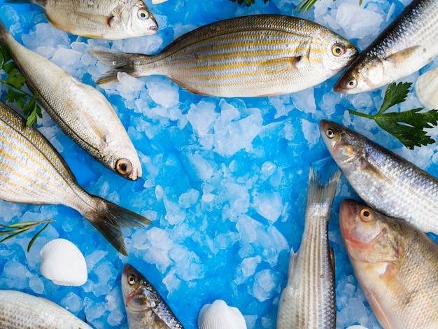 Close-up variety of fresh fishes on ice