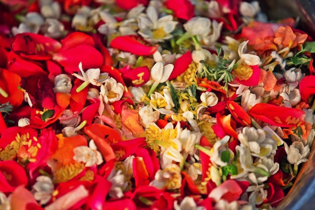 Close-up of various flowers in container