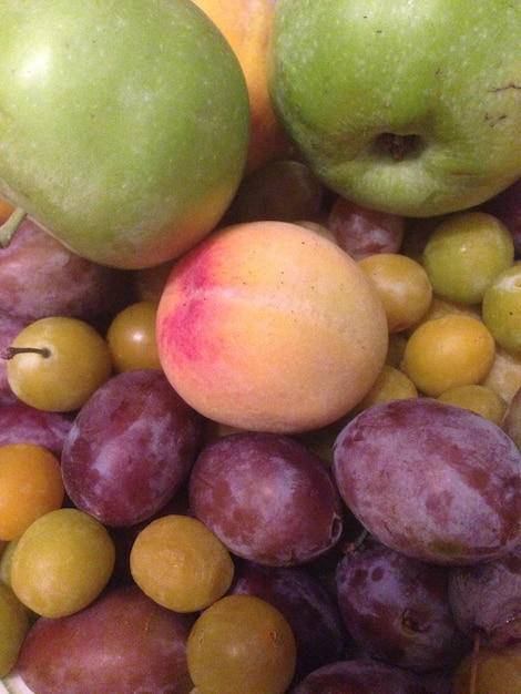 Photo close-up of various fruits