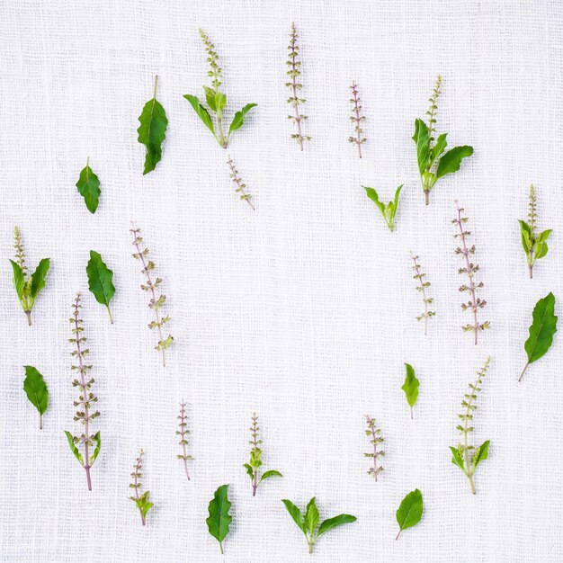 Close-up of various leaves on table