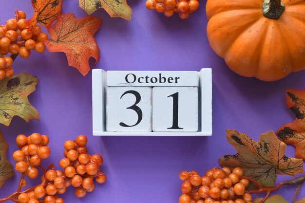 Photo close-up of various pumpkins on display