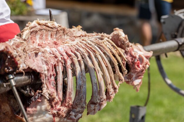 Close up of veal carcass over fire pit