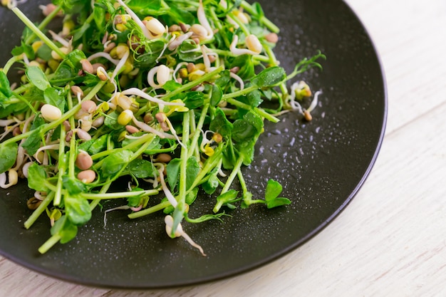 Close up of vegan healthy salad made of peas microgreen sprouts\
and sprouted beans on wooden wall