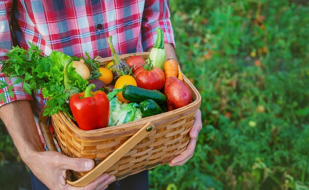 Photo close-up of vegetables in basket