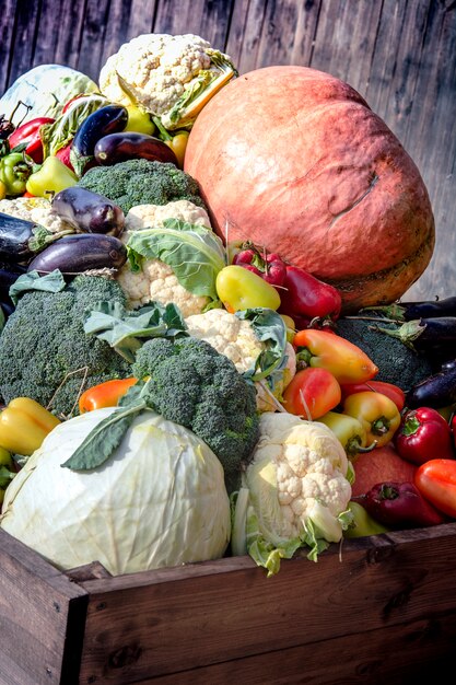 Close up of vegetables. Composition with assorted raw organic vegetables