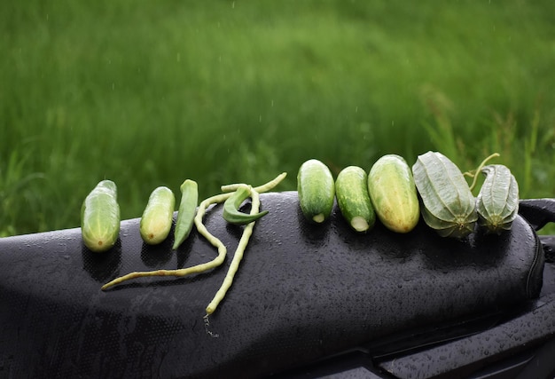 Photo close-up of vegetables on field